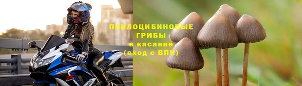 амф Алексин