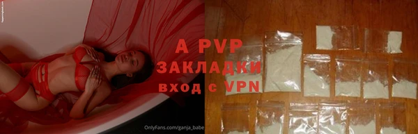 амф Алексин