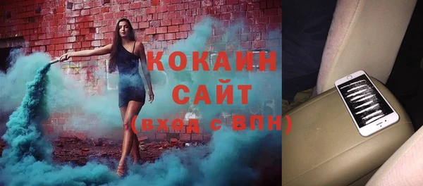 амф Алексин