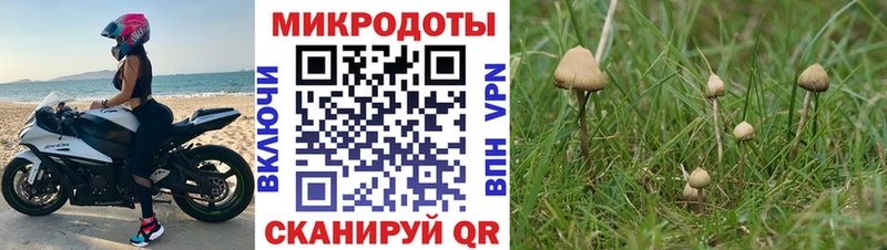 Псилоцибиновые грибы мухоморы  Киров 